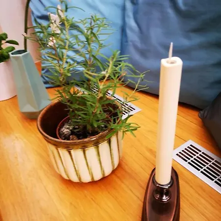 Rudy Parton Apt1 Apartment *